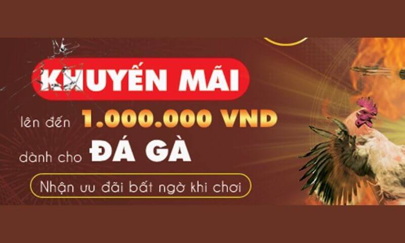 Tại sao nên chơi đá gà ăn tiền – SV388?