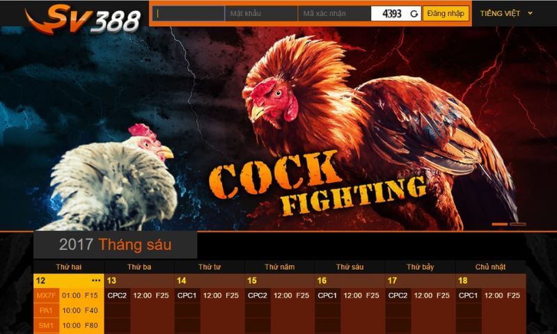 Đôi nét về SV388 - Đá gà trực tiếp, casino online